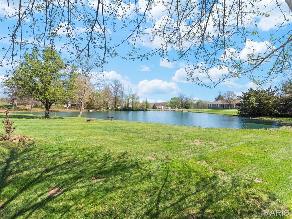 5919 Rachel Drive Waterloo, IL 62298 - Photo 5 of 61