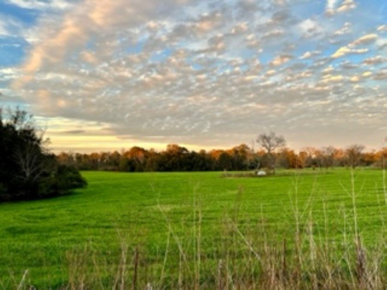 Tbd Cherry Tree Road Monticello, FL 32344 - Photo 1 of 5 Gallery Image 1