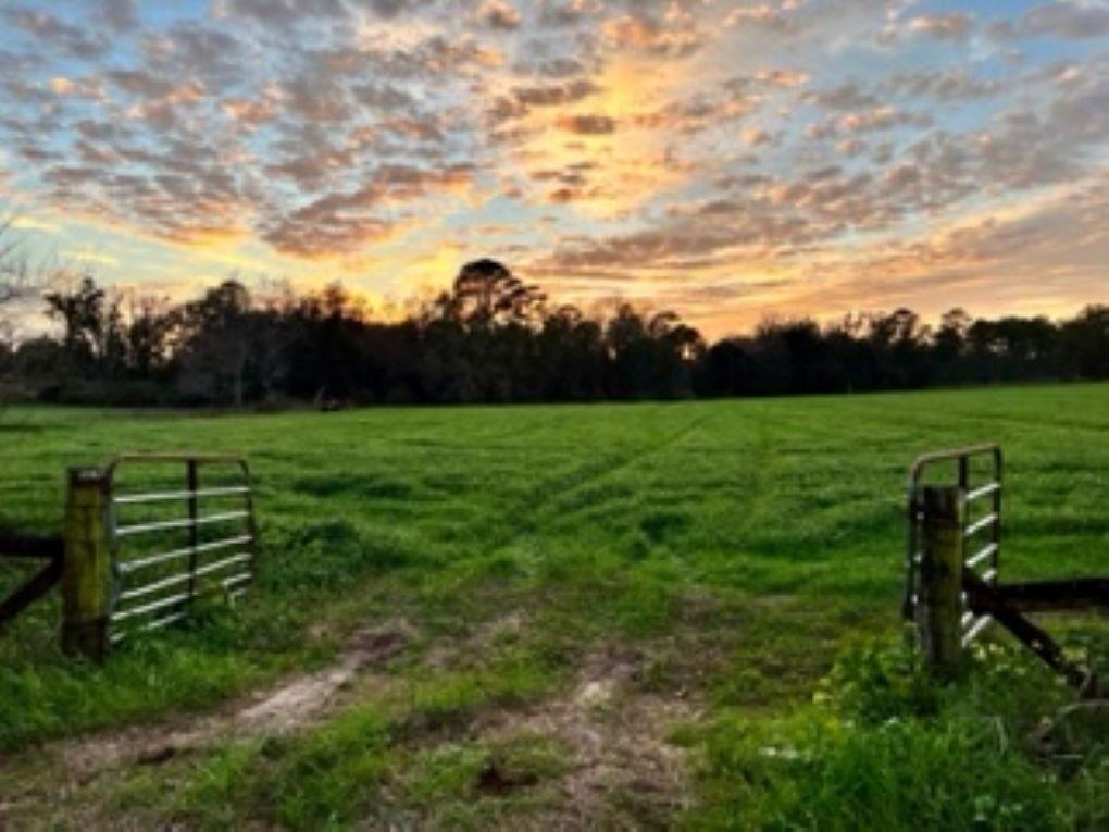 Tbd Cherry Tree Road Monticello, FL 32344 - Photo 2 of 5 Gallery Image 2