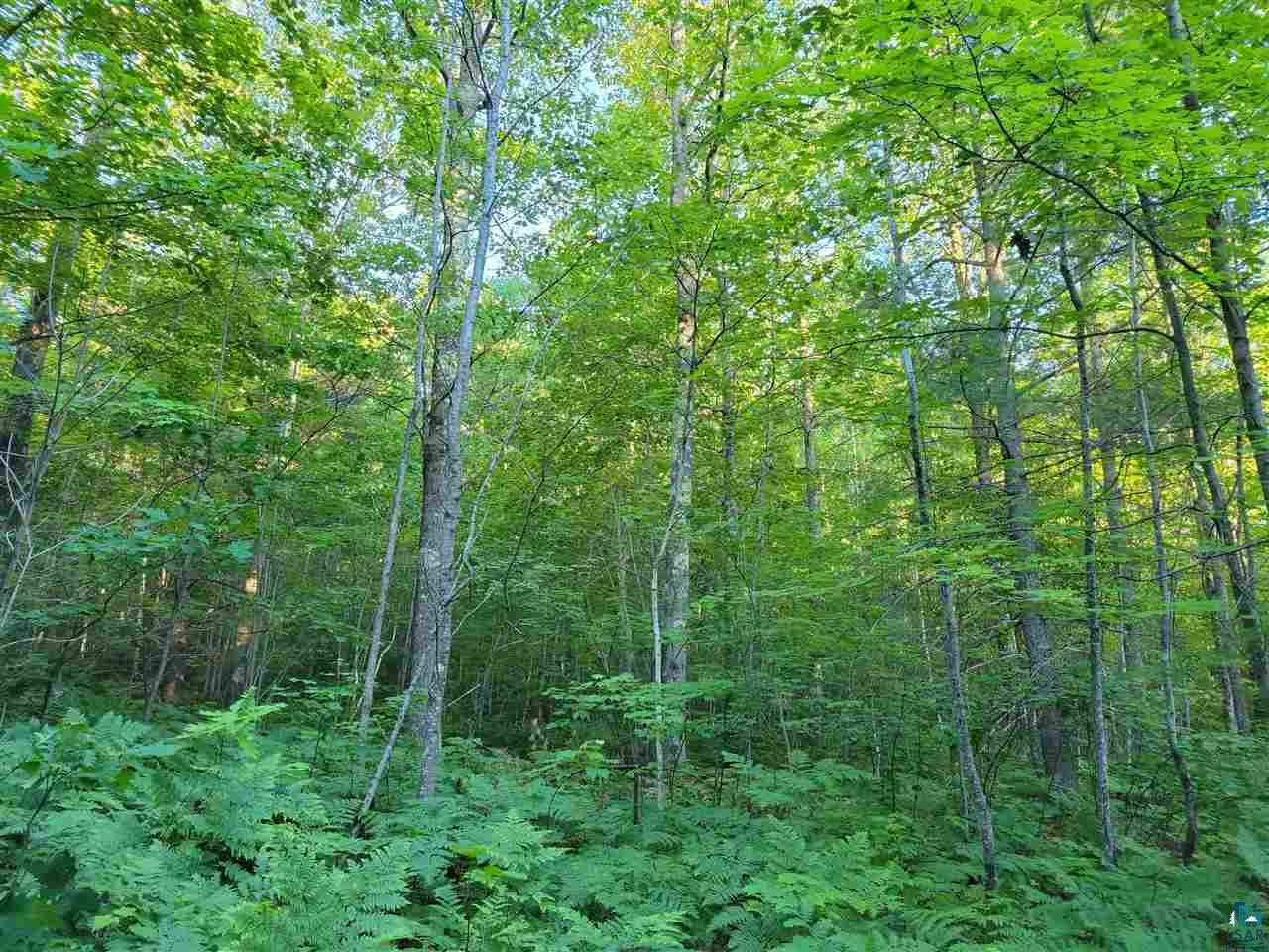 Xxx Friendly Valley Road Washburn, WI 54891 - Photo 5 of 5 Gallery Image 5