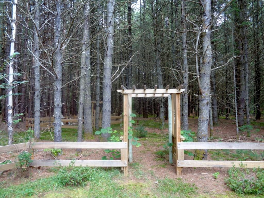 1105 River Road Solon, ME 04979 - Photo 30 of 35 Yard, Trellis