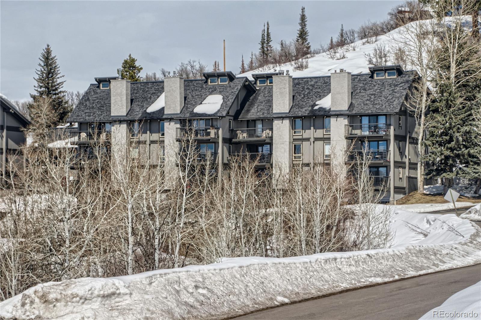 2626 Longthong Road, Unit 201 Steamboat Springs, CO 80487 - Photo 3 of 26 Gallery Image 3