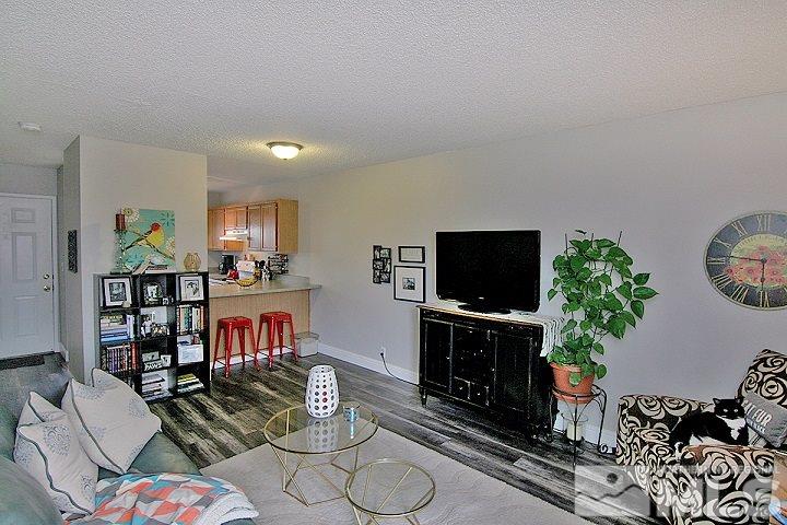 4985 West 7th Street, Unit 10 Reno, NV 89503 - Photo 5 of 20 a living room with furniture a flat screen tv and a fireplace