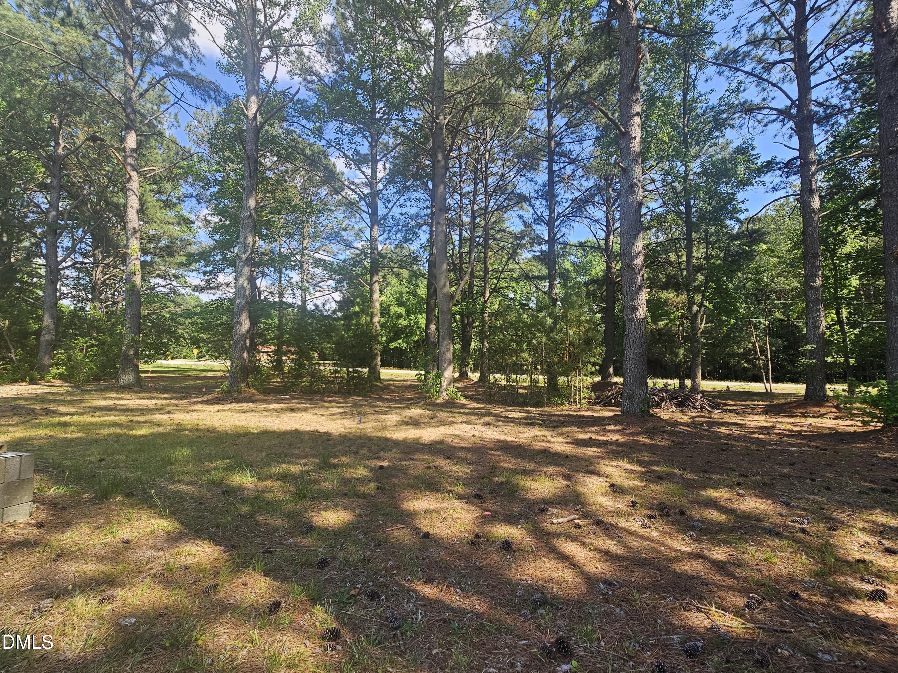 1261 Whitley Road Middlesex, NC 27557 - Photo 1 of 7 a view of road with trees