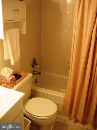220 13th Street Southeast, Unit 5 Washington, DC 20003 - Photo 12 of 17 a bathroom with a sink and a mirror