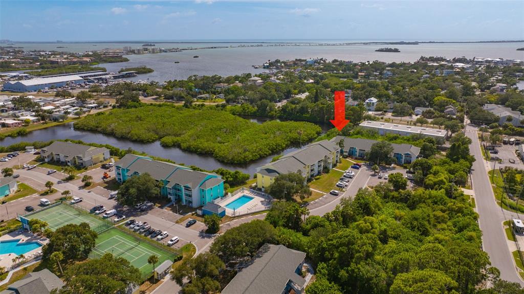 455 Alt 19, Unit 159 Palm Harbor, FL 34683 - Photo 47 of 65