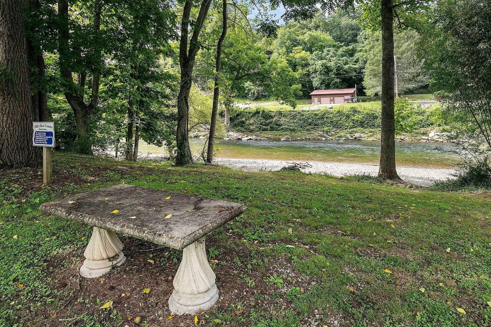 238 Riverview Road Townsend, TN 37882 - Photo 3 of 36