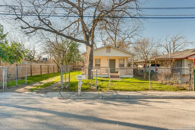 a view of large trees