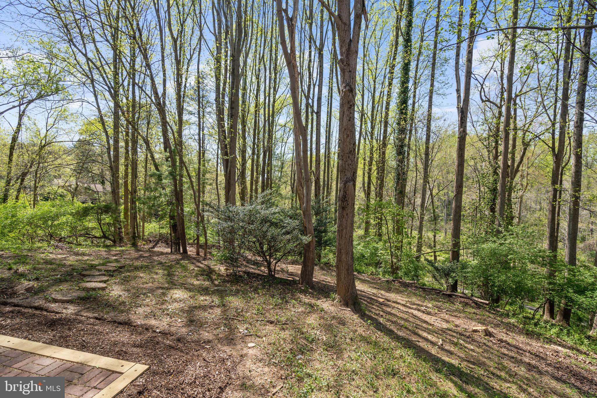 2304 November Lane Reston, VA 20191 - Photo 43 of 71