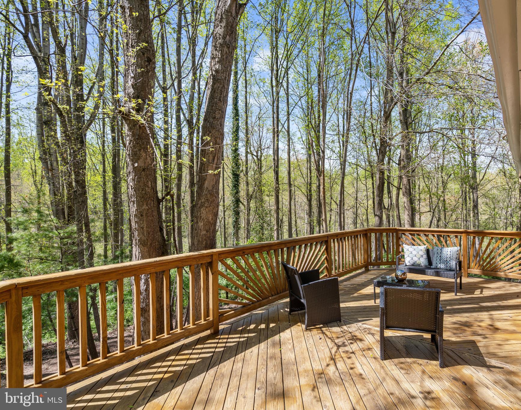 2304 November Lane Reston, VA 20191 - Photo 6 of 71