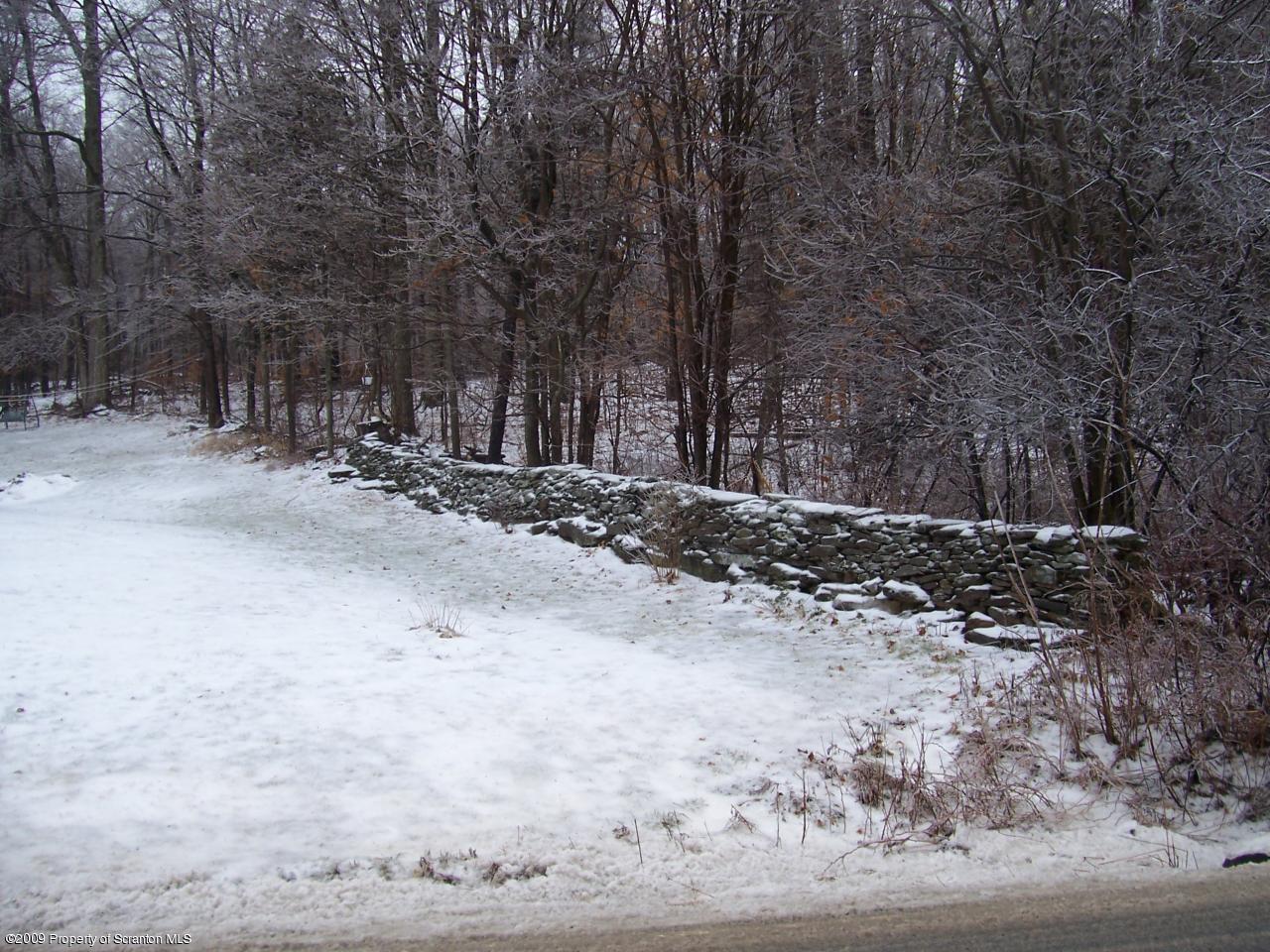 6456 R R, Unit 6 Montrose, PA 18801 - Photo 5 of 10 a view of a yard with trees