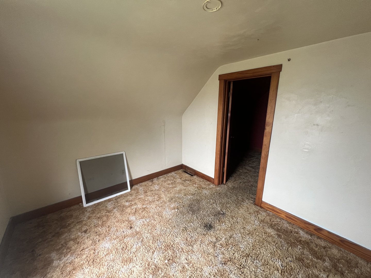 314 South Locust Street Wyanet, IL 61379 - Photo 15 of 17