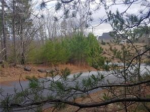 S13 Meadow View Way Salem, SC 29676 - Photo 13 of 21 Gallery Image 13