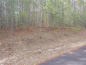 S13 Meadow View Way Salem, SC 29676 - Photo 2 of 21 Gallery Image 2
