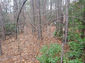 S13 Meadow View Way Salem, SC 29676 - Photo 5 of 21 Gallery Image 5