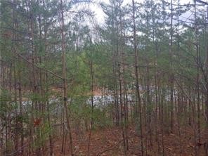 S13 Meadow View Way Salem, SC 29676 - Photo 9 of 21 Gallery Image 9