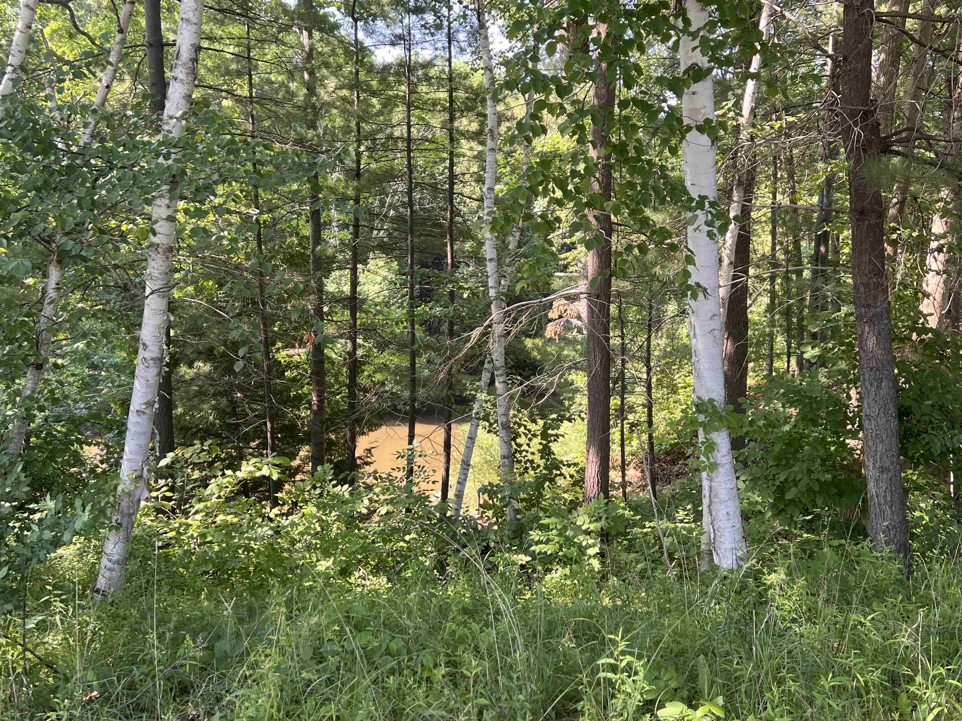 9206 East River Road Mount Pleasant, MI 48858 - Photo 17 of 18 1935552-bb731890-50c4-4d47-84b7-6e6fb76a1433.JPG
