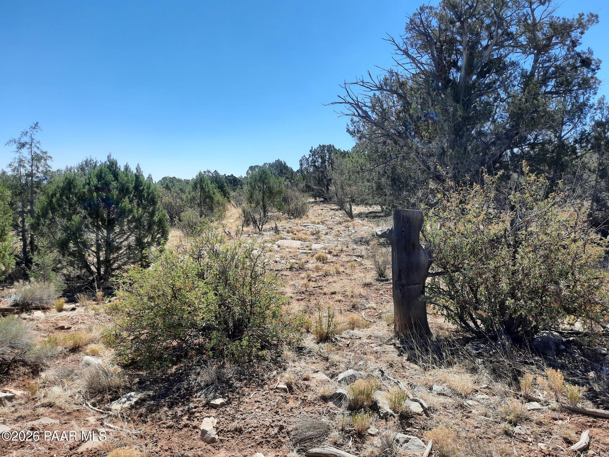 3 J Off Duffy Road Seligman, AZ 86337 - Photo 1 of 12 cover
