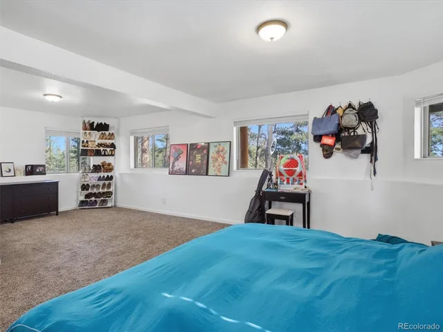 $725,000 | 209 Pine Drive, Bailey, CO 80421