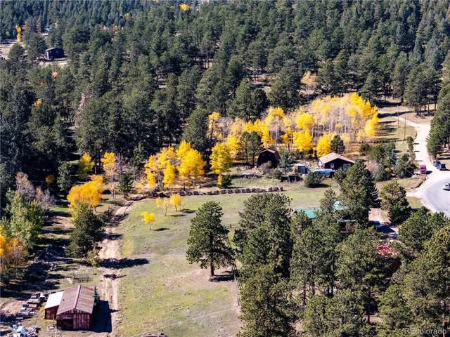 $725,000 | 209 Pine Drive, Bailey, CO 80421