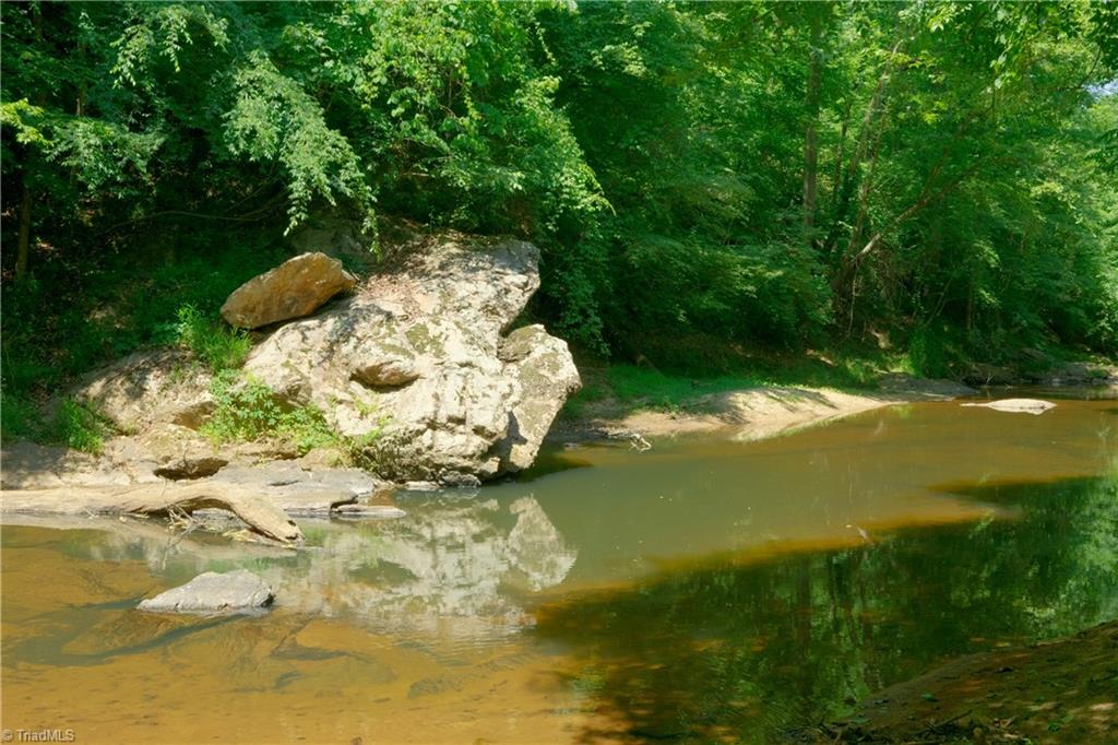 350 Roby Fulk Road Pinnacle, NC 27043 - Photo 5 of 22 Gallery Image 5