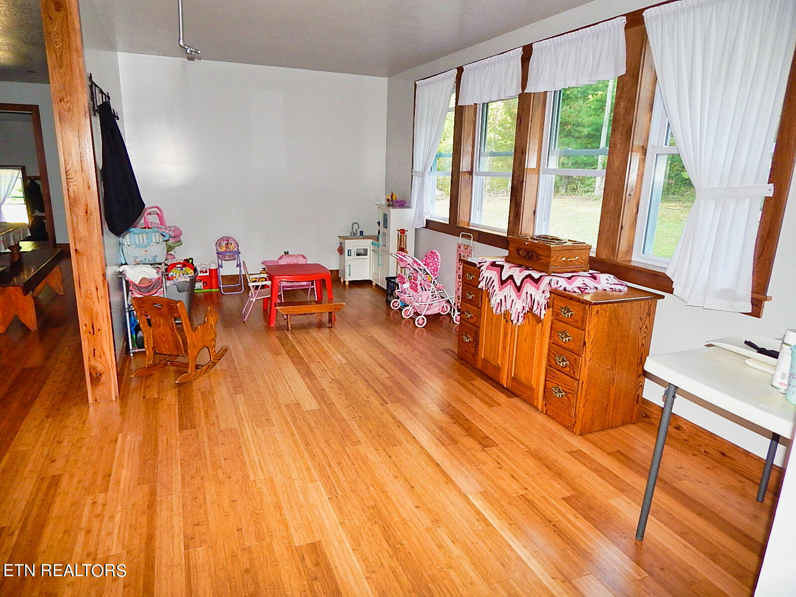 176 Knepp Road Deer Lodge, TN 37726 - Photo 13 of 60 DSCN4530