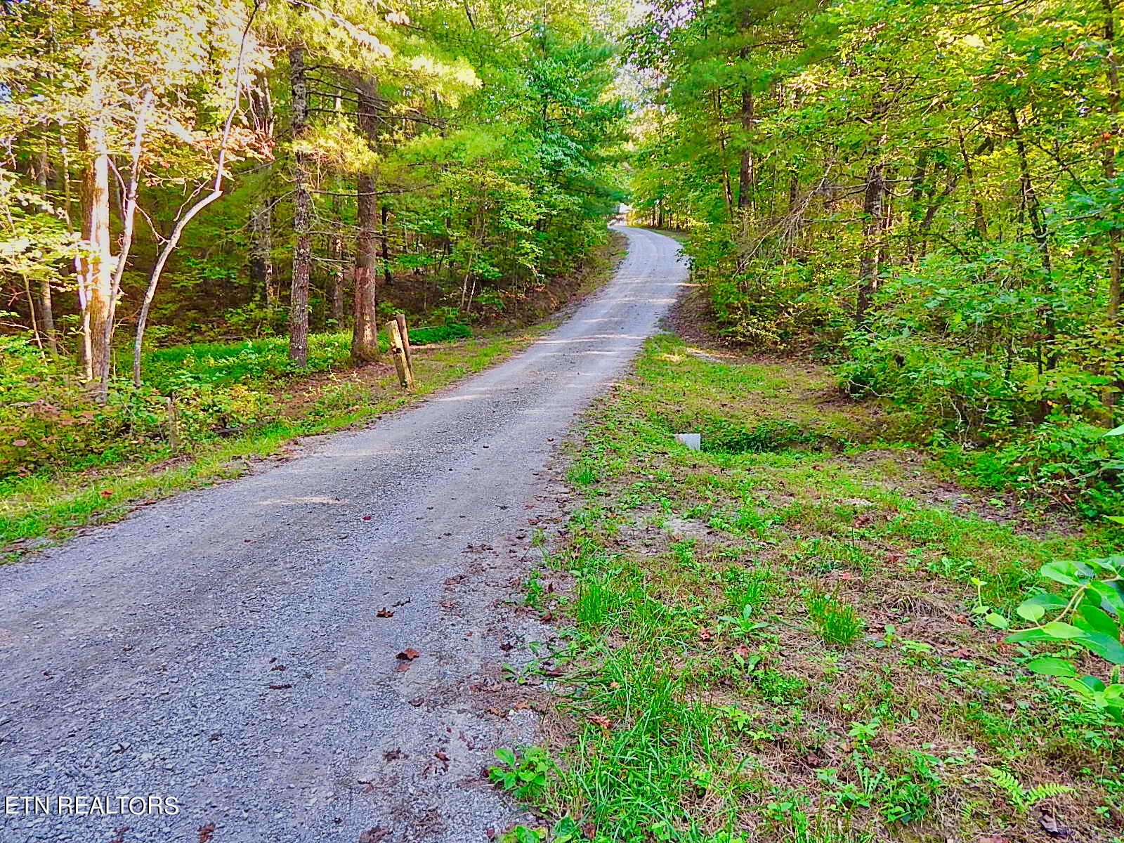 176 Knepp Road Deer Lodge, TN 37726 - Photo 2 of 60 DSCN4631