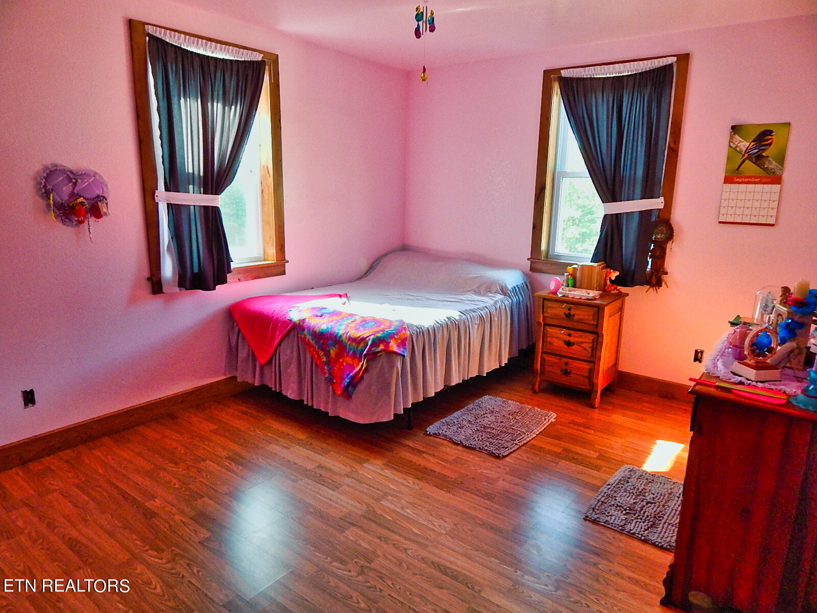 176 Knepp Road Deer Lodge, TN 37726 - Photo 27 of 60 DSCN4574