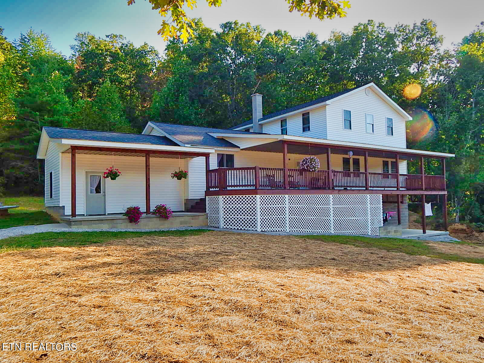 176 Knepp Road Deer Lodge, TN 37726 - Photo 3 of 60 DSCN4596