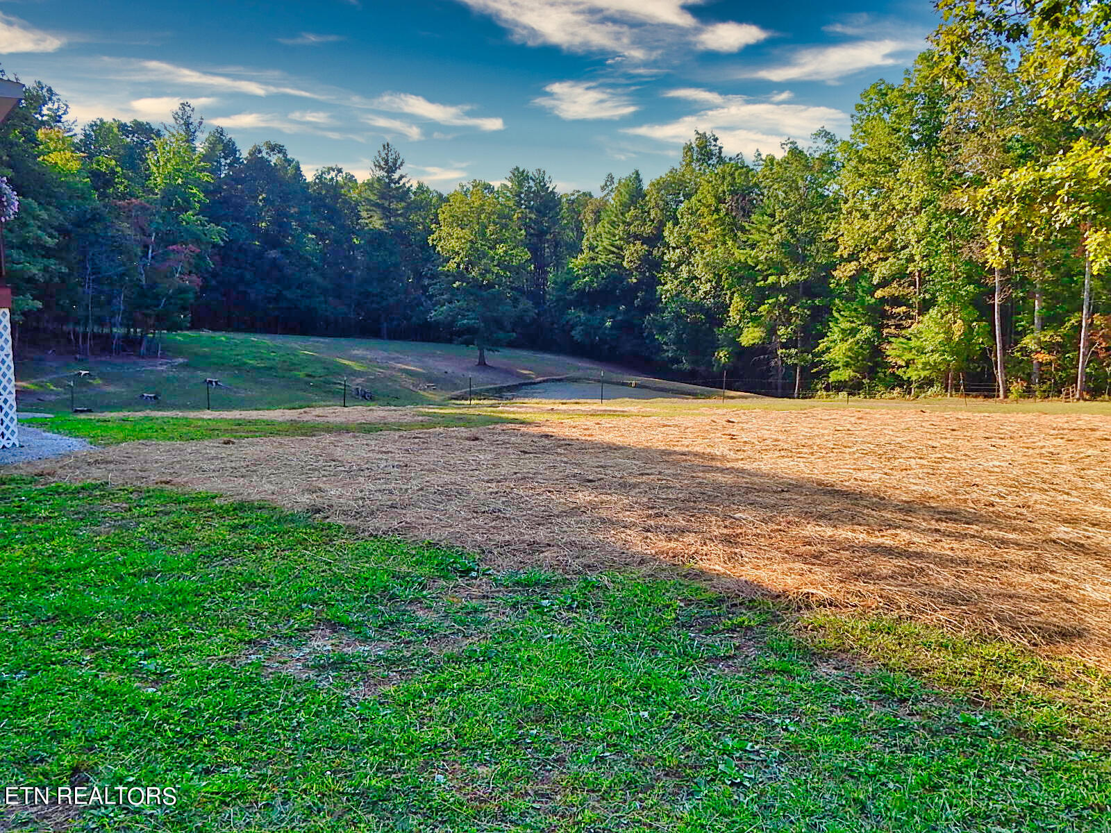 176 Knepp Road Deer Lodge, TN 37726 - Photo 46 of 60 DSCN4599