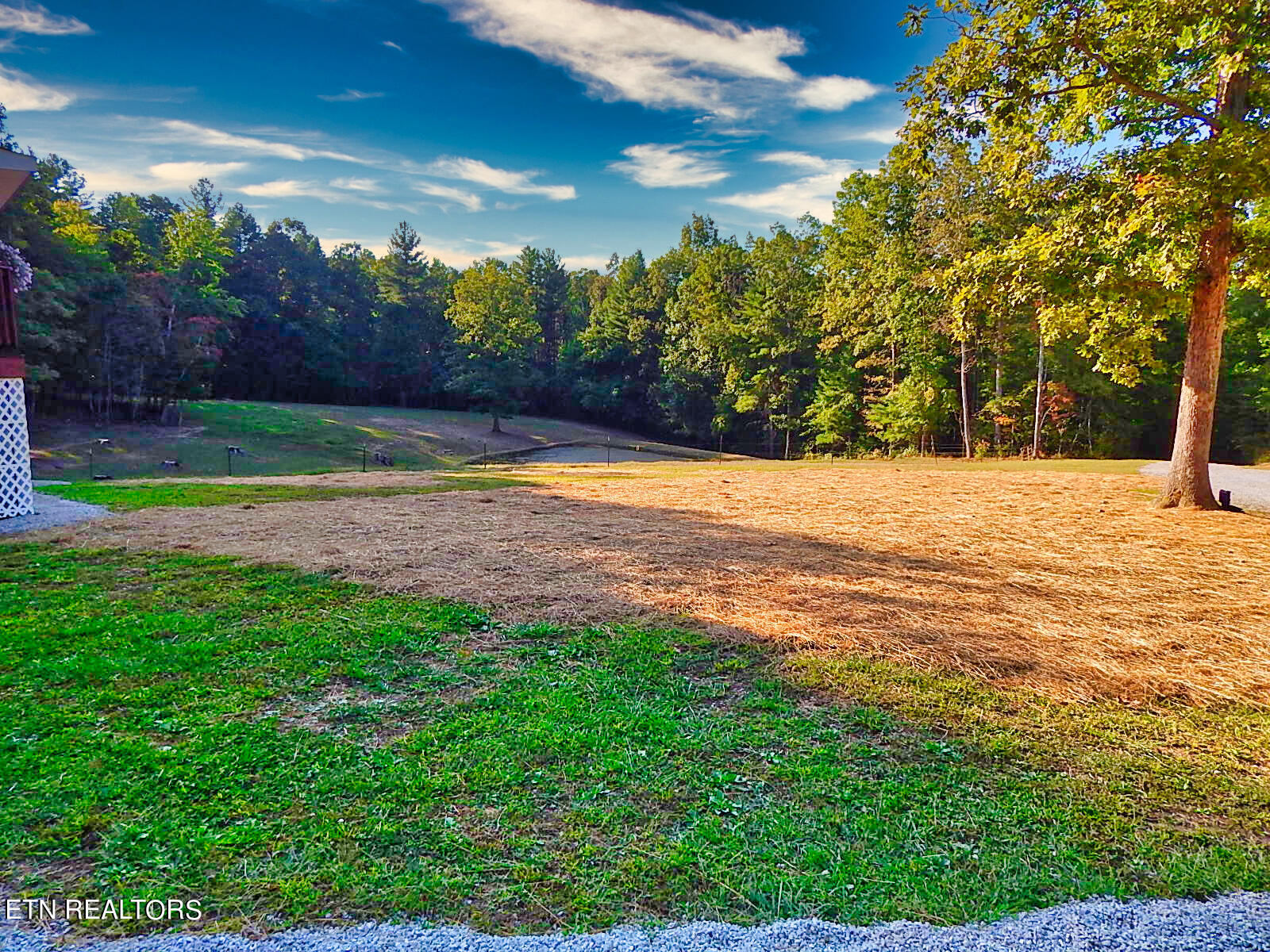 176 Knepp Road Deer Lodge, TN 37726 - Photo 47 of 60 DSCN4600