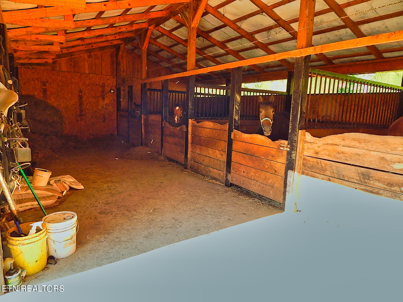 176 Knepp Road Deer Lodge, TN 37726 - Photo 55 of 60 DSCN4589