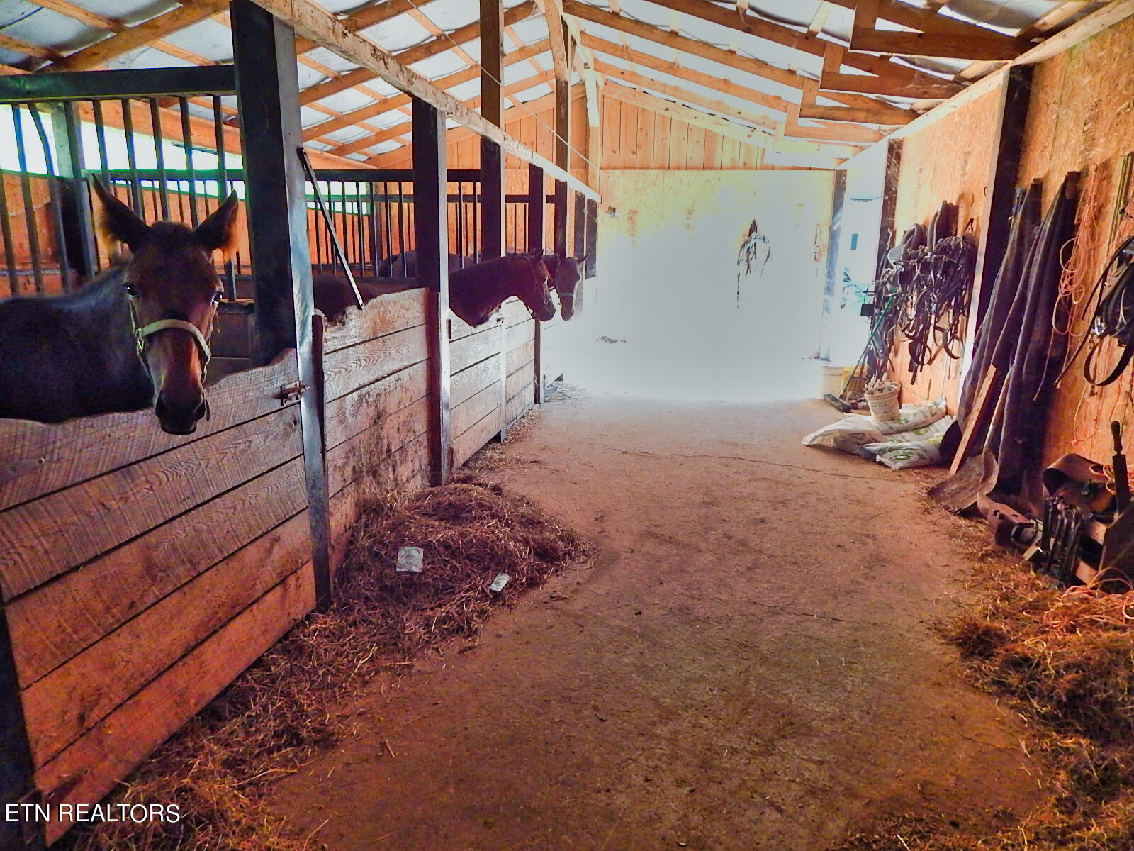 176 Knepp Road Deer Lodge, TN 37726 - Photo 56 of 60 DSCN4590