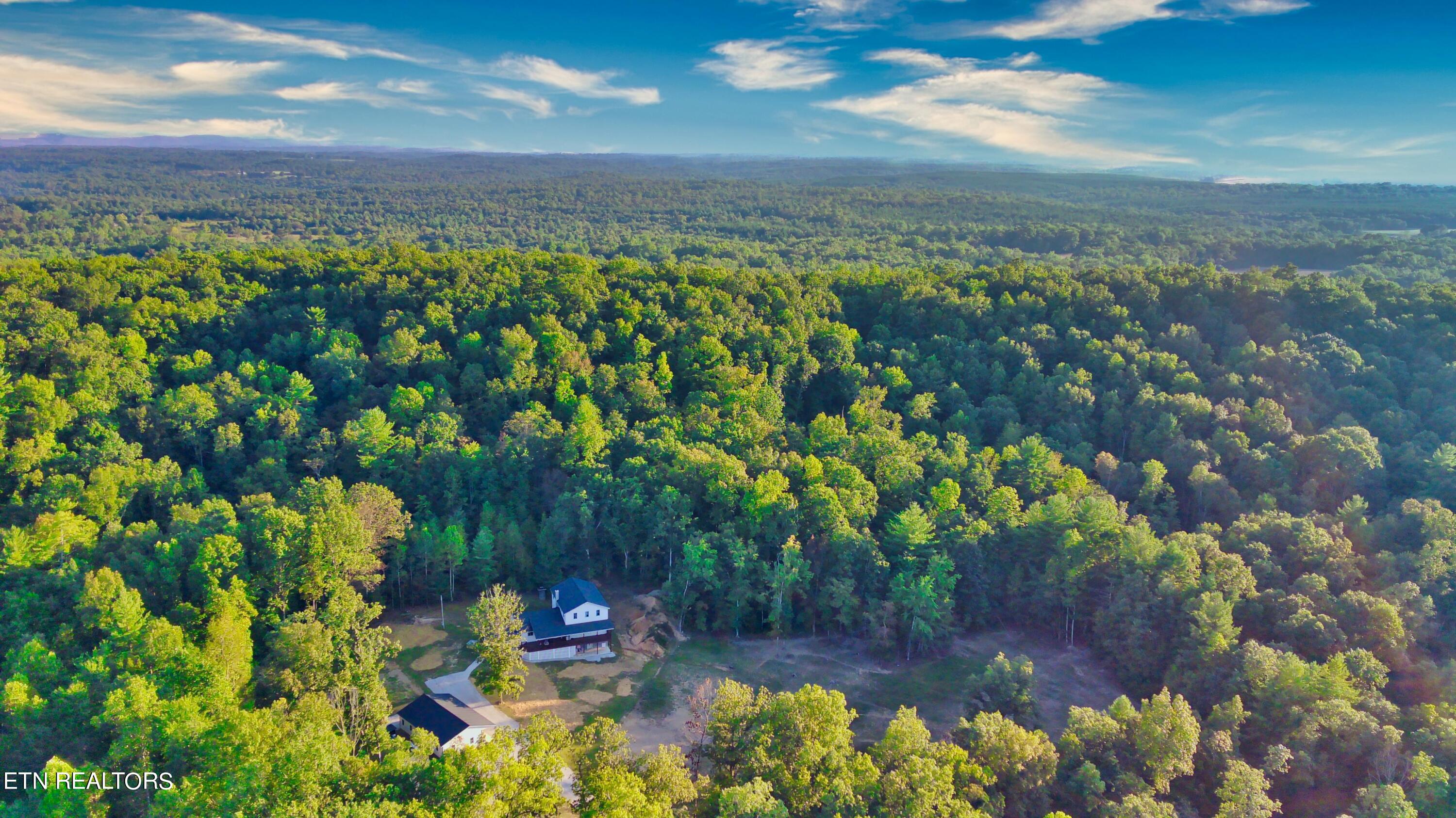 176 Knepp Road Deer Lodge, TN 37726 - Photo 58 of 60 FIMI0016