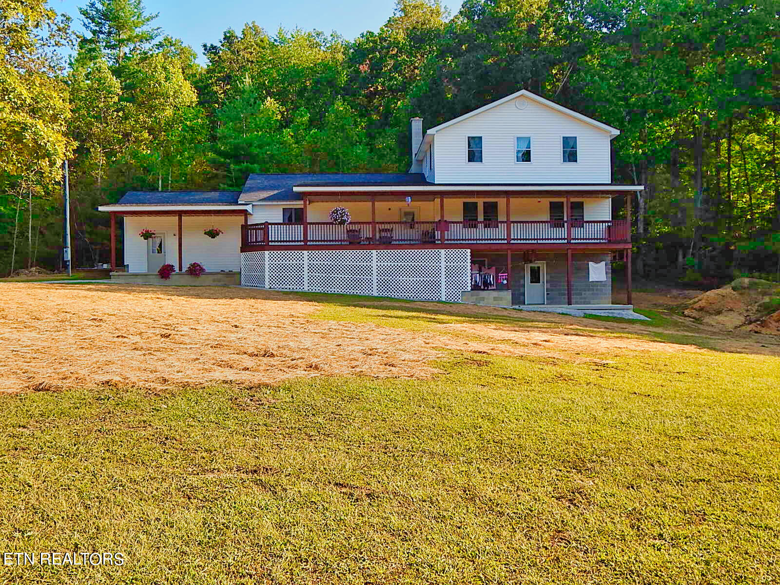 176 Knepp Road Deer Lodge, TN 37726 - Photo 6 of 60 DSCN4585