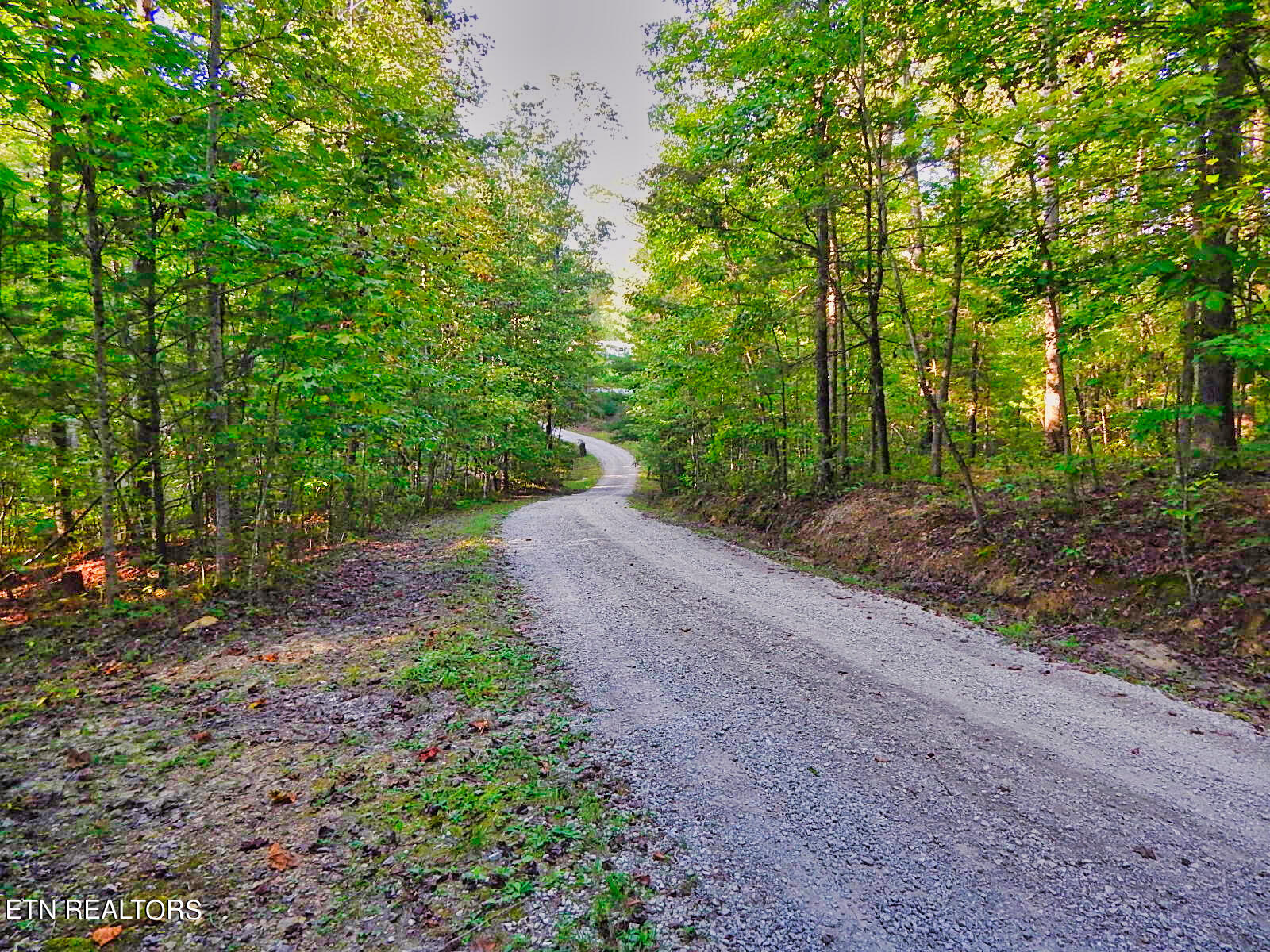 176 Knepp Road Deer Lodge, TN 37726 - Photo 7 of 60 DSCN4629