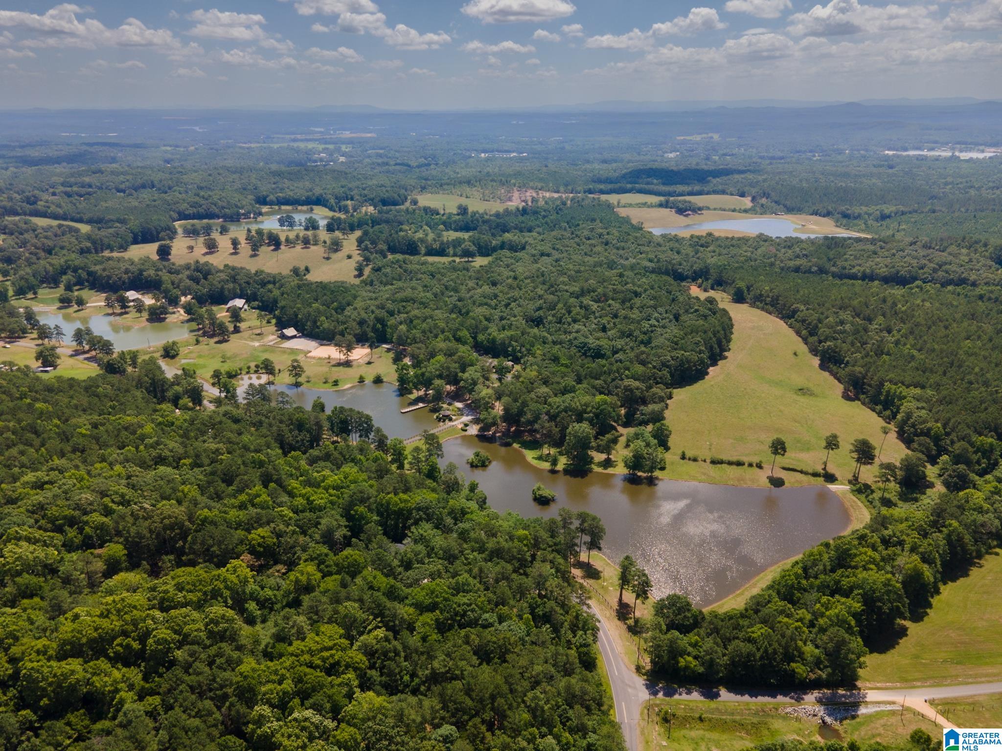7146 Dry Creek Road Pell City, AL 35128 - Photo 95 of 100