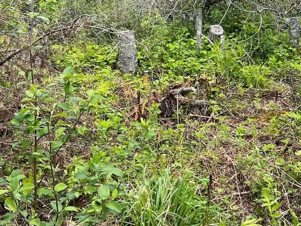 $21,000 | Lot 29-001 5th Avenue, Pembroke, ME 04666