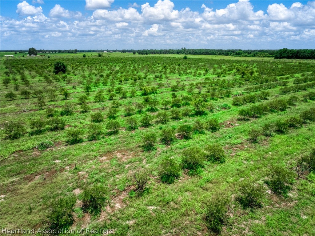 Stephens Road Wauchula, FL 33873 - Photo 4 of 7
