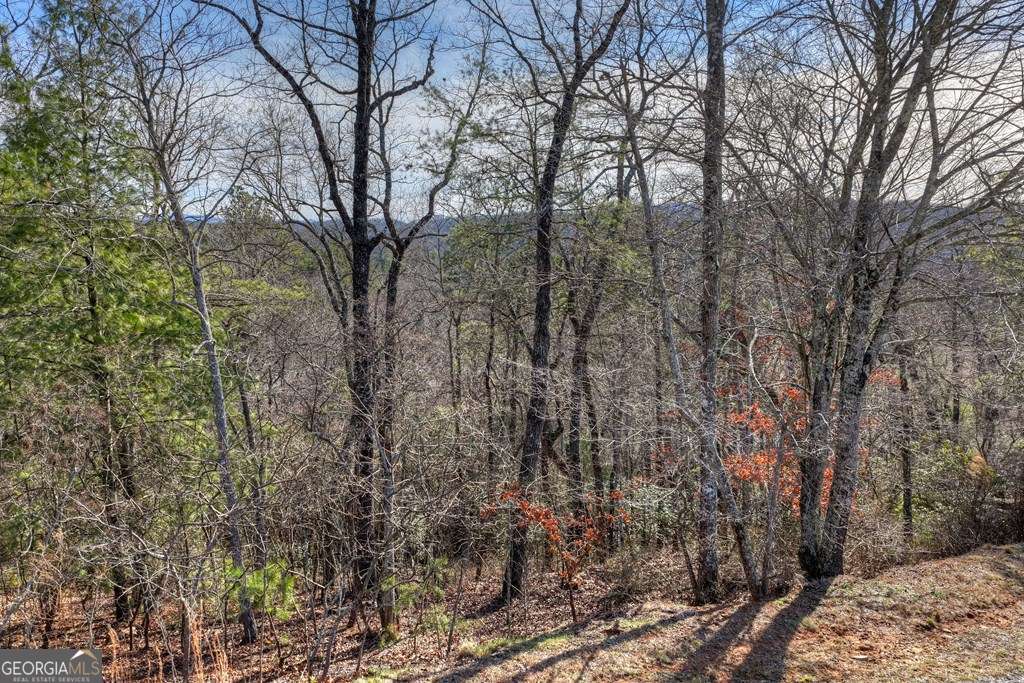 112 Fawn Way Mineral Bluff, GA 30559 - Photo 1 of 26 a view of a forest filled with trees