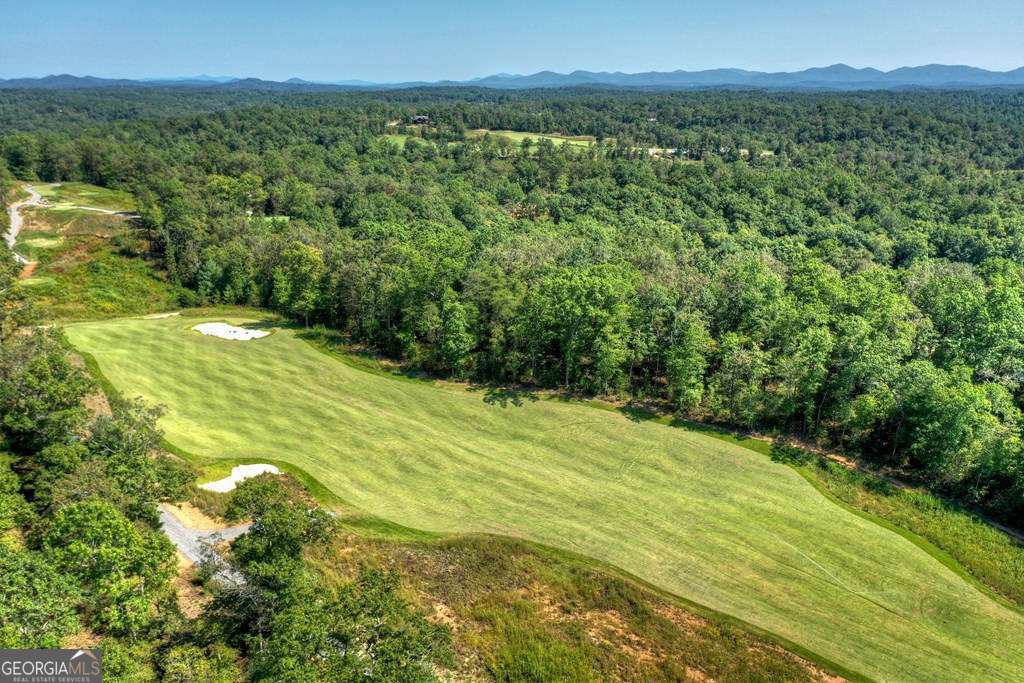 112 Fawn Way Mineral Bluff, GA 30559 - Photo 12 of 26 a view of a big yard with lots of green space