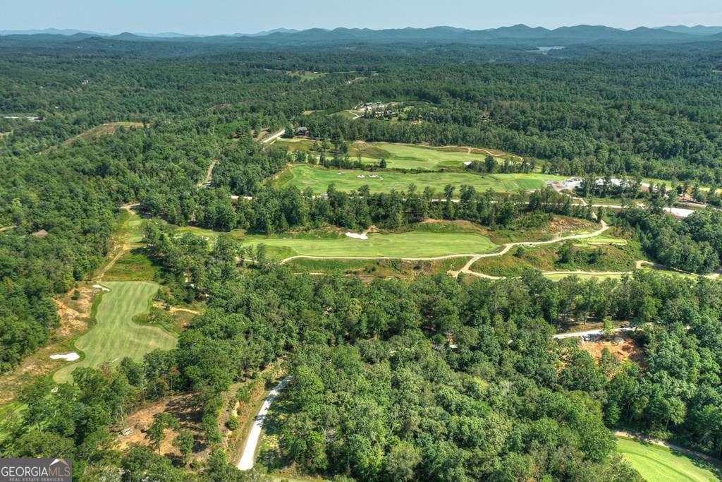 112 Fawn Way Mineral Bluff, GA 30559 - Photo 13 of 26 a view of a lush green hillside and houses