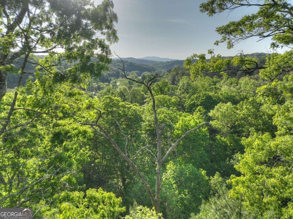 112 Fawn Way Mineral Bluff, GA 30559 - Photo 18 of 26 a view of a house with a lush green forest
