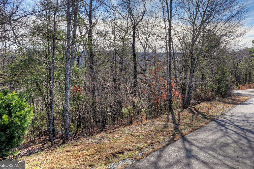 112 Fawn Way Mineral Bluff, GA 30559 - Photo 2 of 26 a view of a forest filled with trees