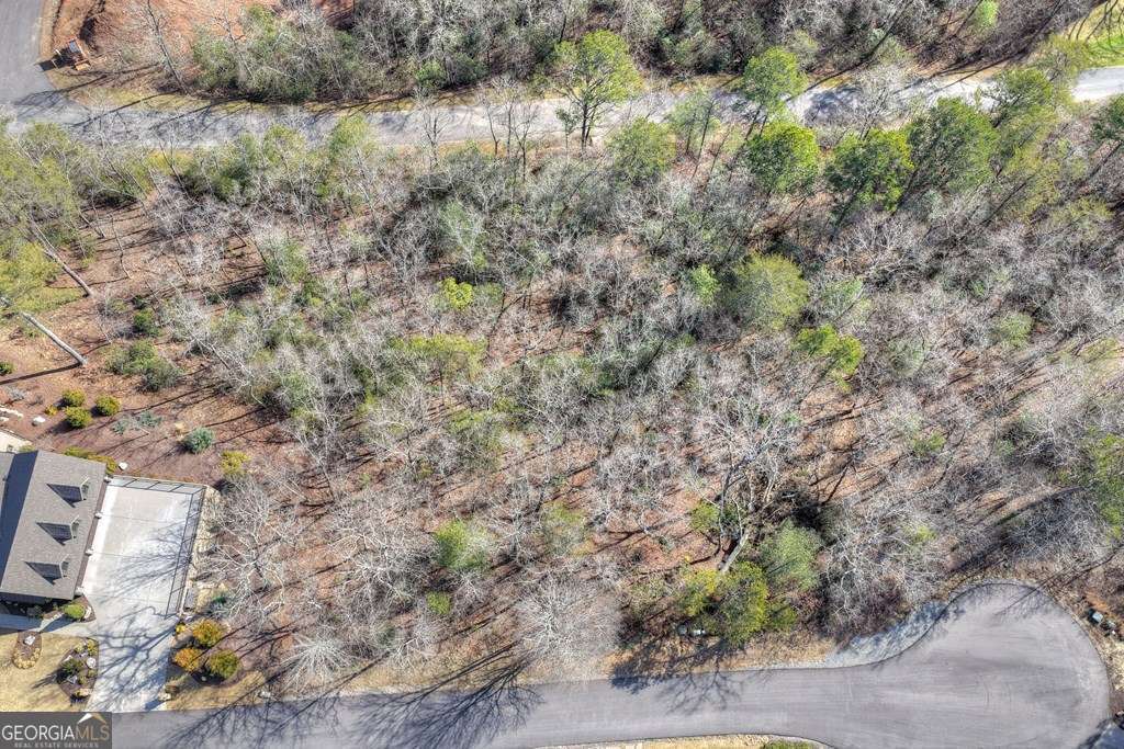 112 Fawn Way Mineral Bluff, GA 30559 - Photo 3 of 26 a view of a forest with a house