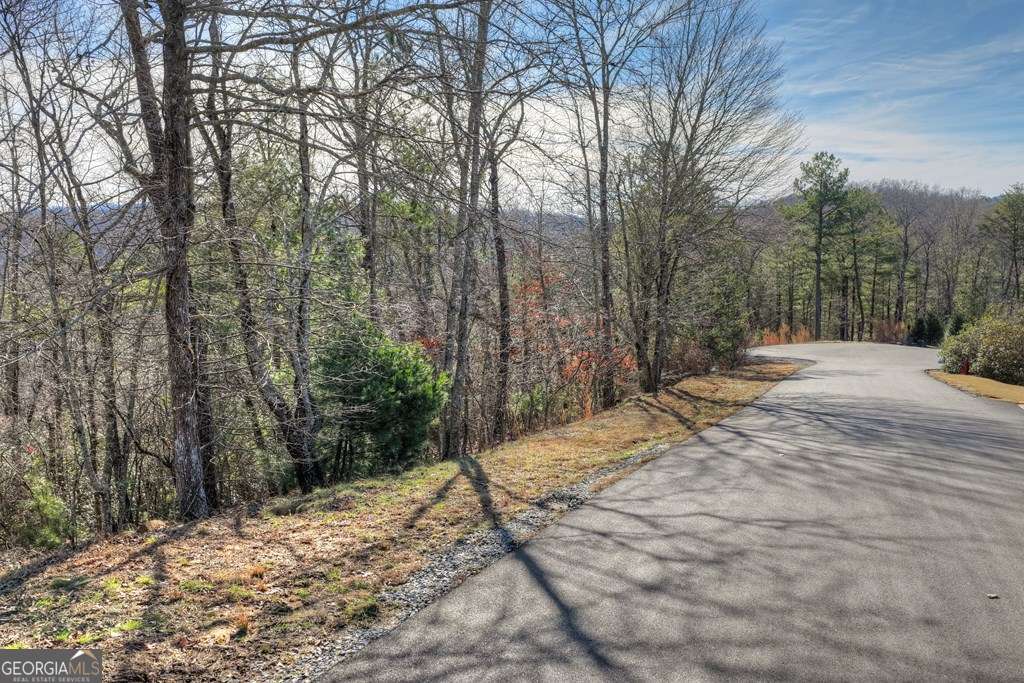 112 Fawn Way Mineral Bluff, GA 30559 - Photo 7 of 26 a outdoor space with trees