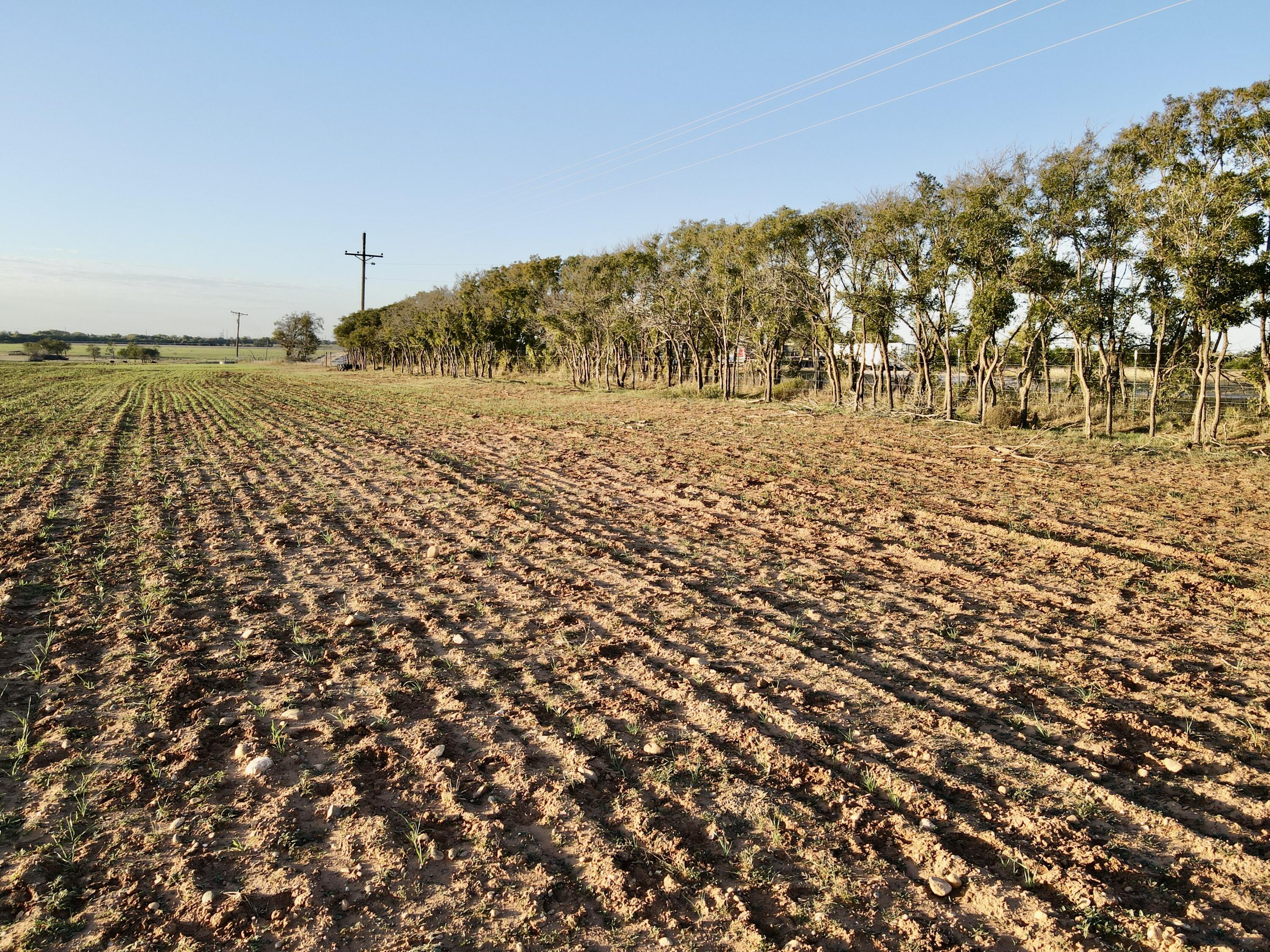 1 15 /- Acres State Highway Turkey, TX 79261 - Photo 3 of 12 a view of lake view
