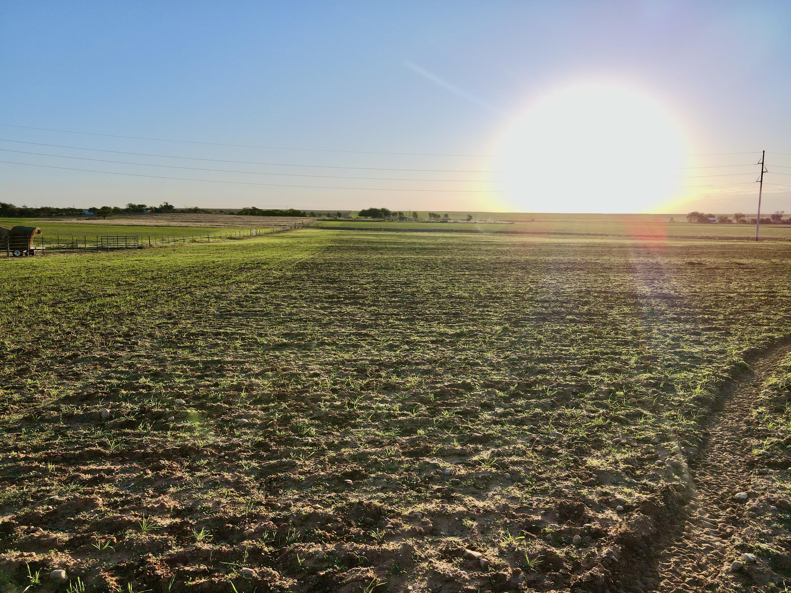1 15 /- Acres State Highway Turkey, TX 79261 - Photo 4 of 12 a view of an ocean