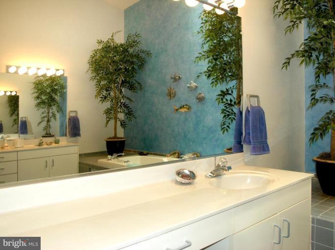 1962 Lakeport Way Reston, VA 20191 - Photo 18 of 30 Master Bath #2