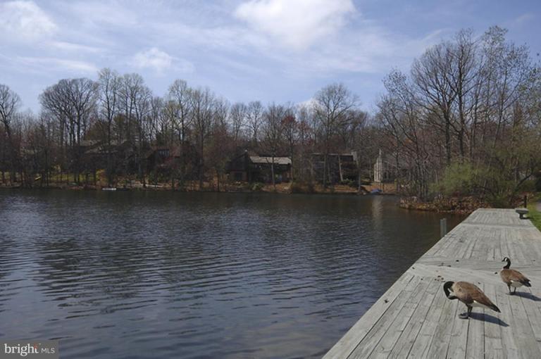 1962 Lakeport Way Reston, VA 20191 - Photo 25 of 30 Community Amenities 3